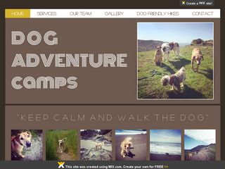 Dog Adventure Camps | Boarding