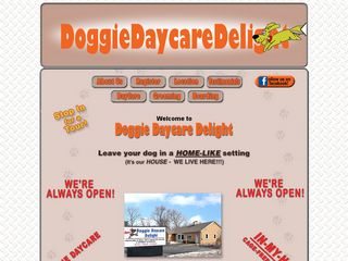 Doggie Daycare Delight | Boarding