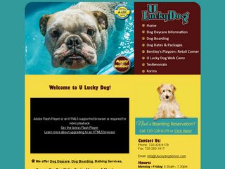 U Lucky Dog Daycare | Boarding
