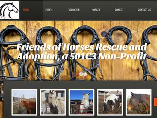 Friends of Horses Rescue   Adoption Englewood