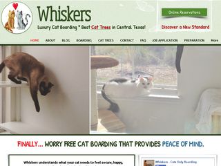 Whiskers Luxury Cat Boarding Georgetown