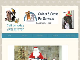 Collars  Sense Pet Services Georgetown