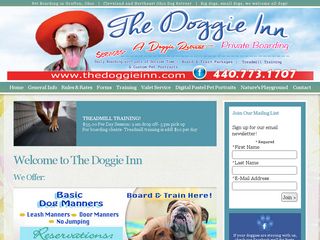 Doggie Inn | Boarding