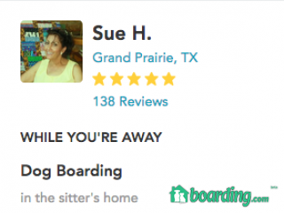 Sue's Dogservice | Boarding
