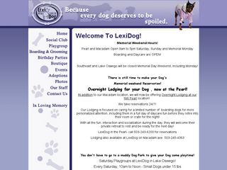 Lexi Dog | Boarding