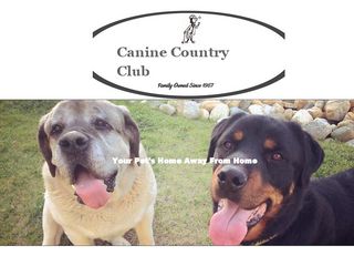 Canine Country Club Lancaster