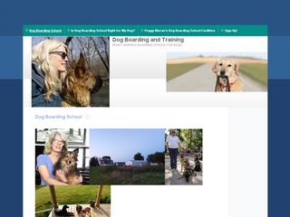 Dog Boarding and Training Chicago and Suburbs | Boarding