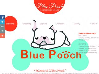 Blue Pooch | Boarding