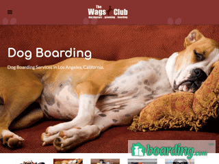 Dog Daycare | Boarding