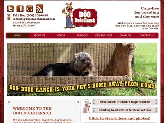 Dog Dude Ranch Miami
