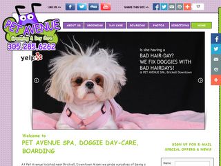 Pet Avenue Grooming & Daycare Miami