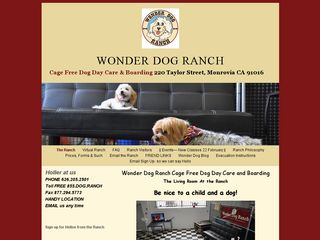 Wonder Dog Ranch | Boarding
