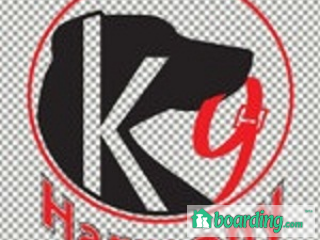 K9 Harmony | Boarding