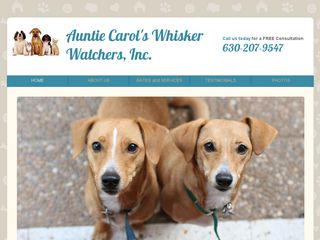 Auntie Carols Whisker Watchers | Boarding