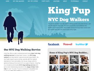 King Pup | Boarding