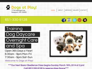 Dogs At Play | Boarding