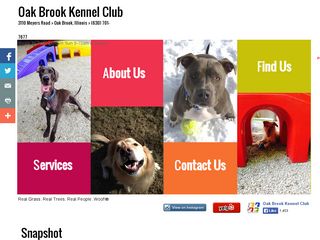 Oak Brook Kennel Club | Boarding