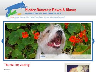 Mister Beevers Paws  Claws | Boarding