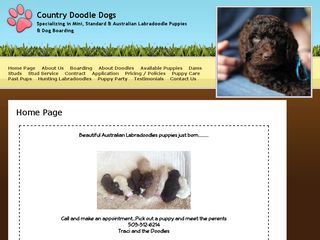 Country Doodle Dogs | Boarding