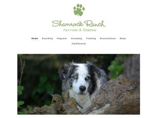 Shamrock Ranch Kennels | Boarding