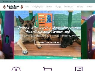 Lucky Dogs Daycare | Boarding
