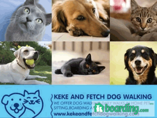 Keke and Fetch Dog Walking and Cat Boarding | Boarding