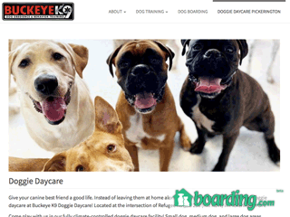 Buckeye K9 Doggie Daycare | Boarding