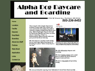 Alpha Dog Daycare and Boarding Portland