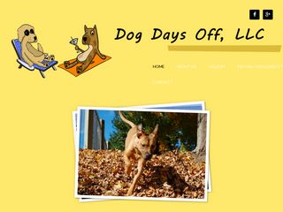 Dog Days Off LLC | Boarding