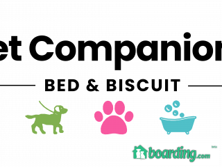 Pet Companions Bed & Biscuit Reading