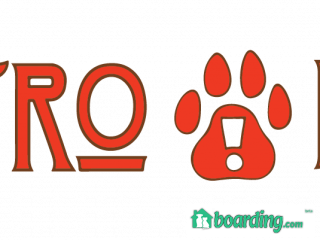 Metro Dog Richmond