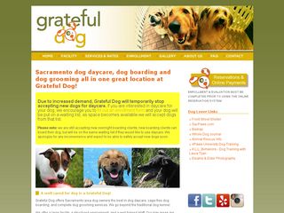 Grateful Dog Daycare | Boarding