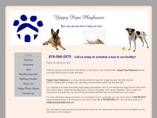 Yappy Pups Playhouse | Boarding
