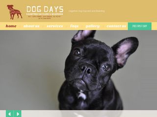 Dog Days Daycare   Boarding San Diego