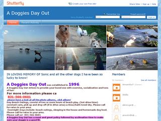 A Doggies Day Out | Boarding