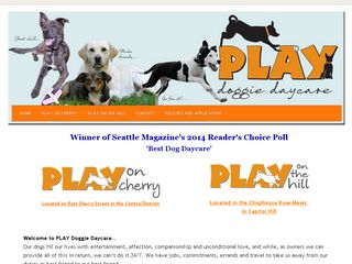 PLAY Doggie Daycare Seattle