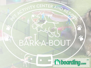 Bark-A-Bout Pet Activity Center & Resort Shelby Township