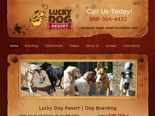 Lucky Dog Resort | Boarding
