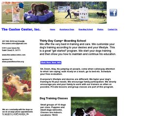 The Canine Center | Boarding