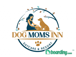 Dog Moms Inn St Petersburg
