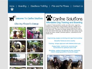 Canine Solutions | Boarding