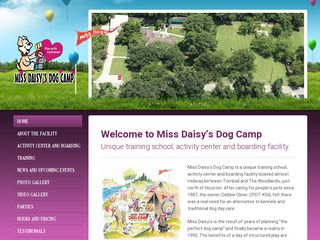 Miss Daisys Dog Camp | Boarding