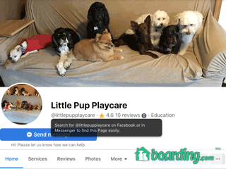 Little Pup Playcare | Boarding