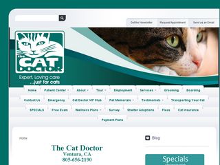 The Cat Doctor | Boarding