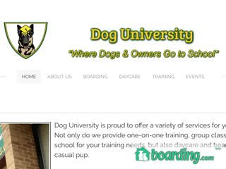 Dog University | Boarding
