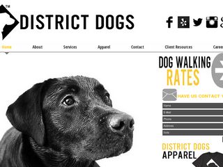District Dogs | Boarding