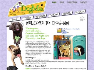 Dog Ma Daycare and Boarding for Dogs Washington