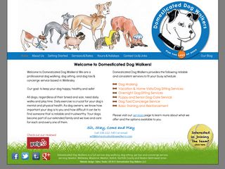 Domesticated Dog Walkers LLC Wellesley