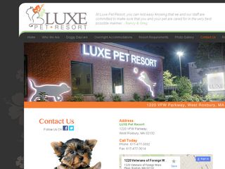 Luxe Pet Resort West Roxbury
