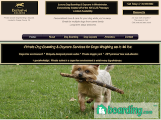 Exclusive Boarding Westminster